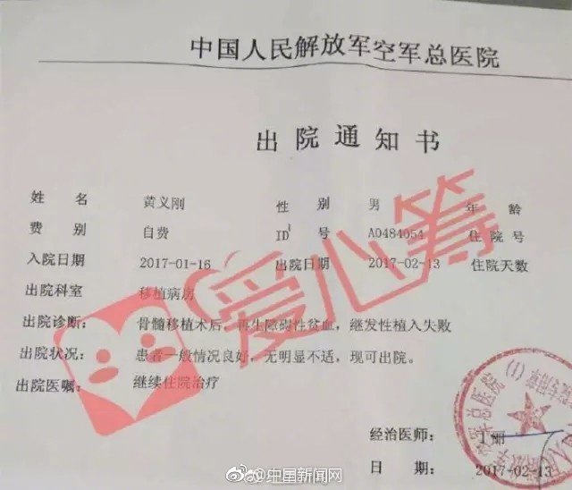 国产乱人视频在线观看播放器