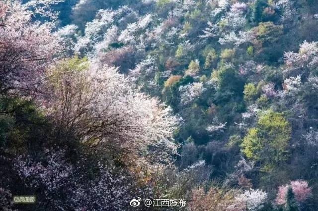 男人自慰方法
