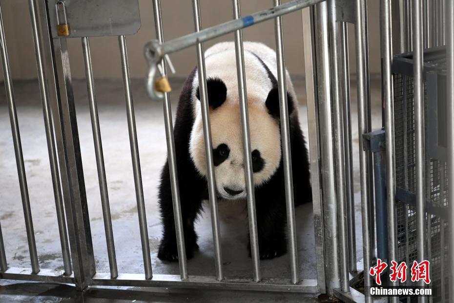 美女被草网站
