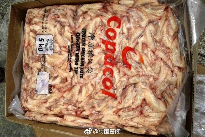 能观看的黄色视频