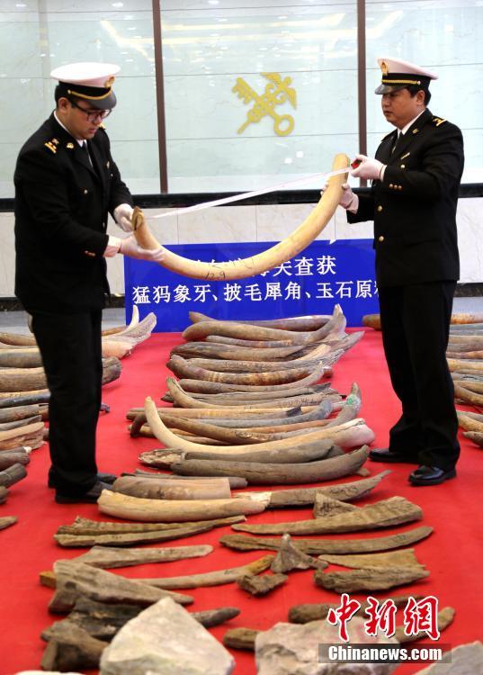 欧美顶级全裸