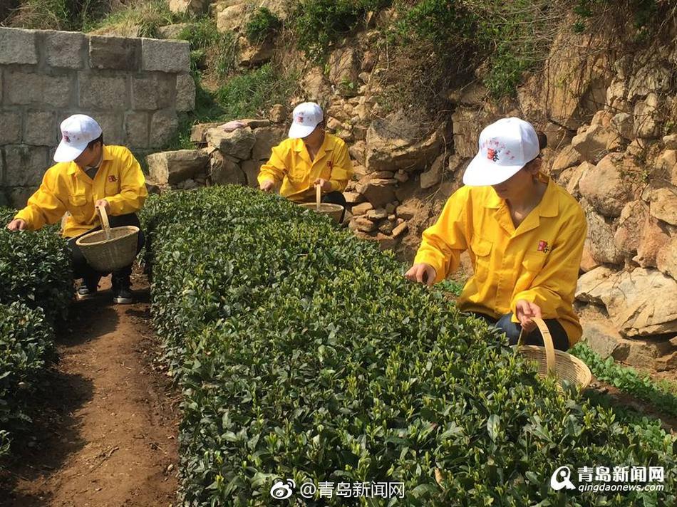 男Ji大巴进入女人的久