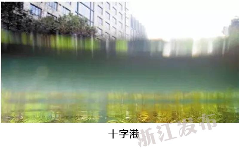 欧美最婬荡脚交Xxxxvⅰd