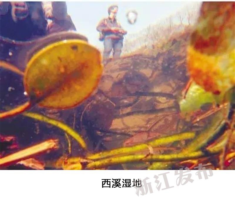 两个女同性恋互吸乳摸下体菊花