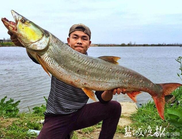 日韩重口味无码人妻
