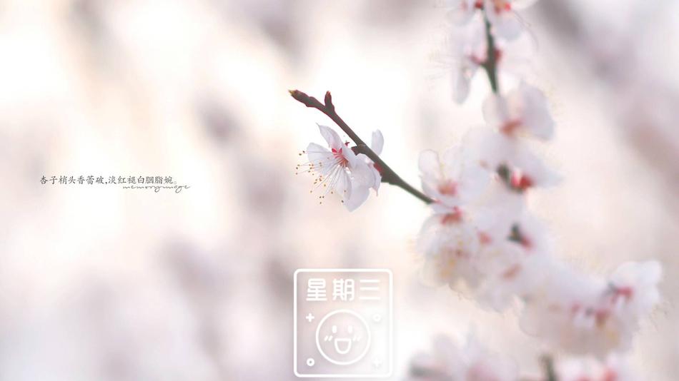 中国老熟女偷拍Xⅹx