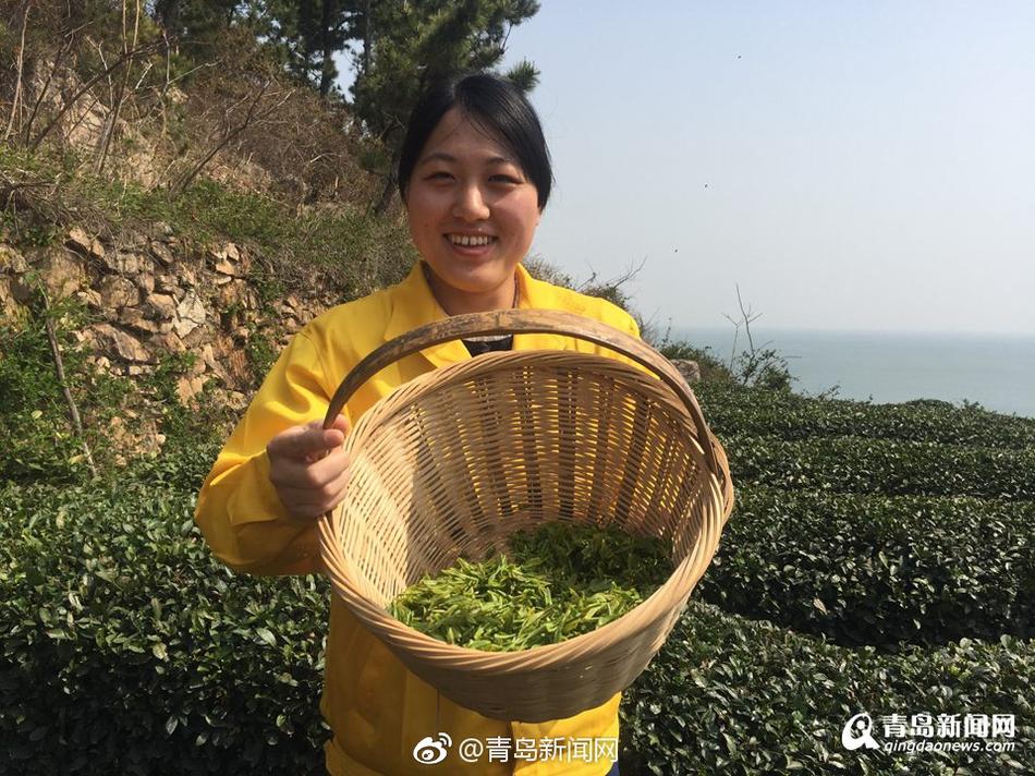 黄色三级三级三级三级片