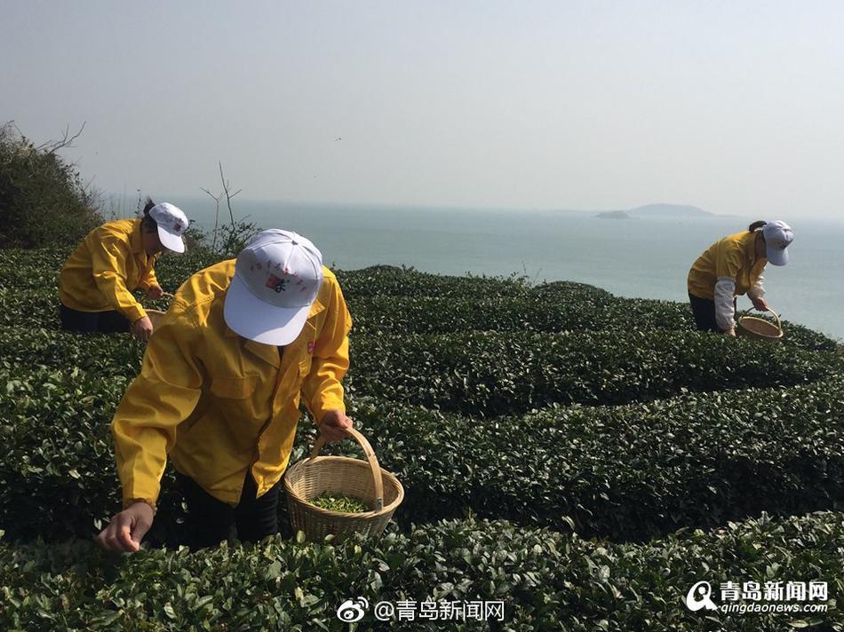 黄色视频区