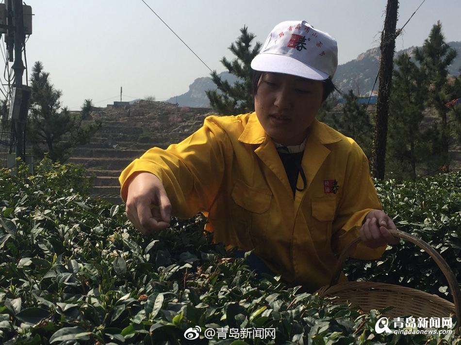 三年中文在线观看免费大全中国