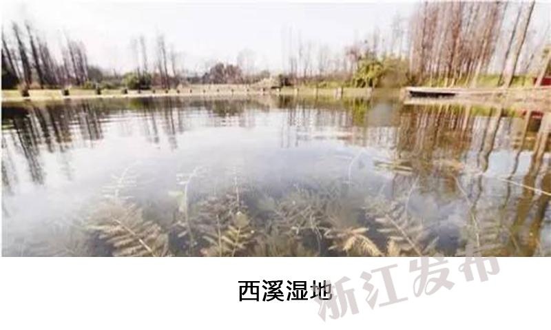 三年片免费大全国语2023年8月