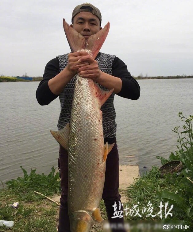 软软蜜桃臀意大利电影