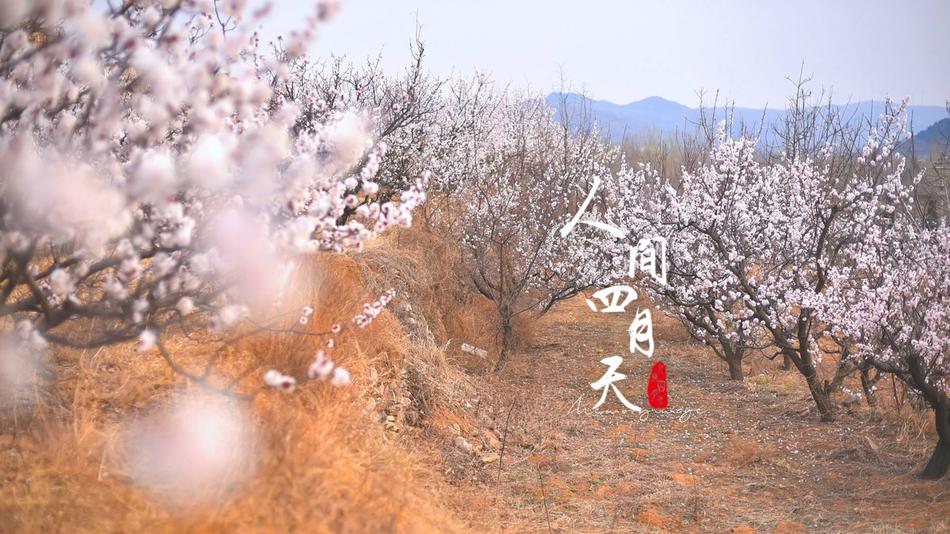 免费一区