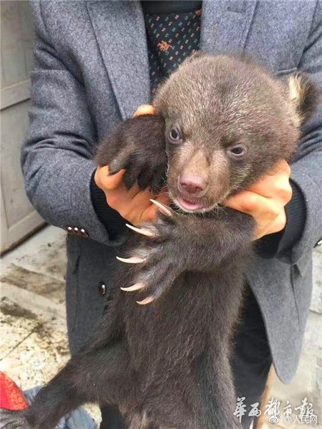 直播做愛
