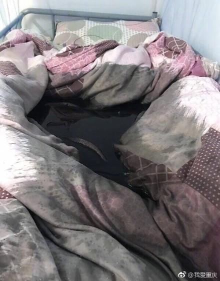 欧美成人做爰高潮片免费野花谷