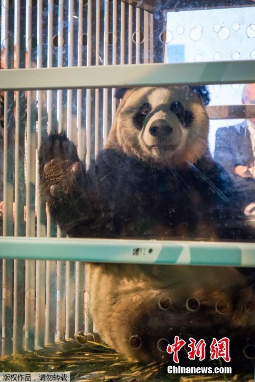 两个男生做   图片