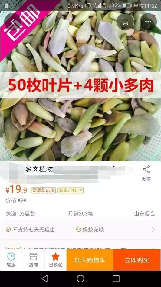 越南妹做愛
