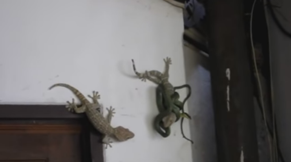 九九综合