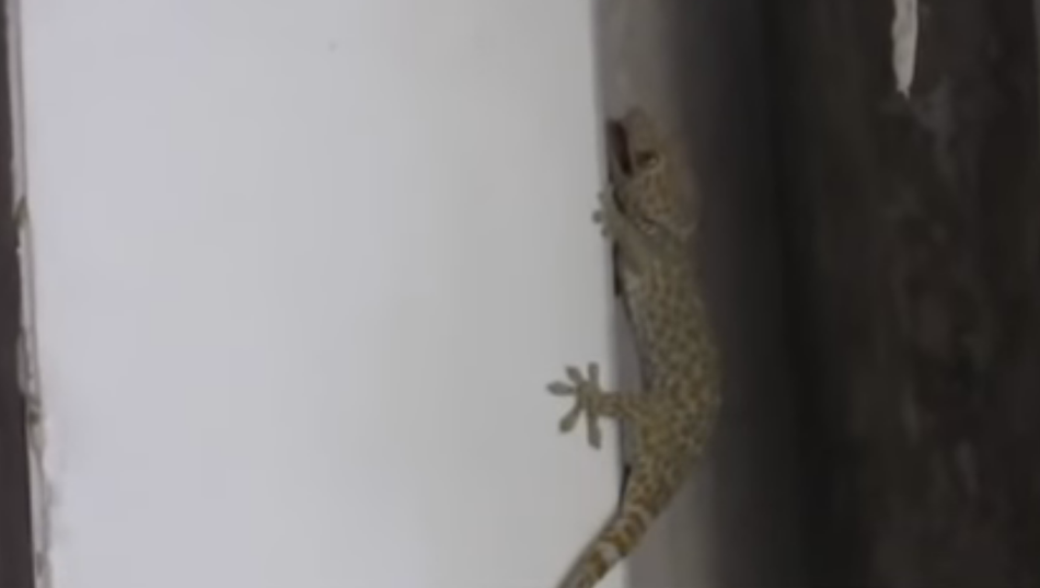 男洗澡