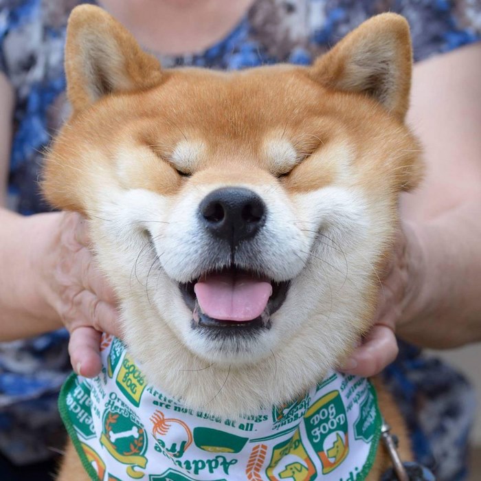 晨勃