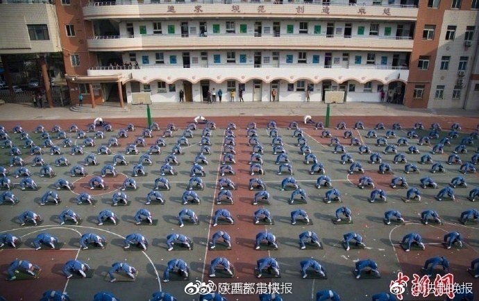 柏木由纪Av在线