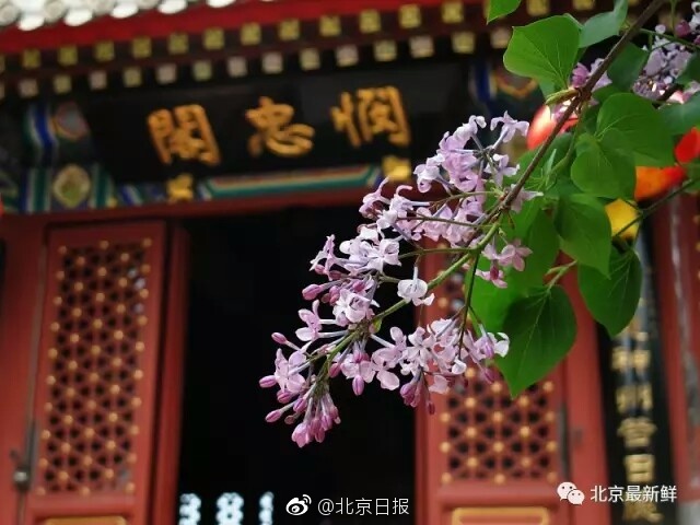 台湾美女_级蟓色毛片