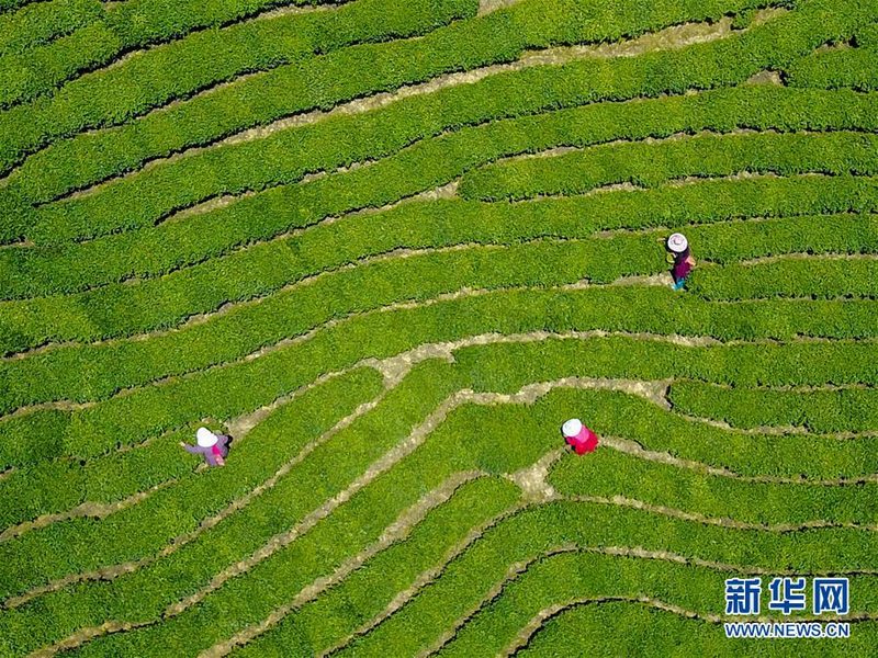 男Ji大巴进入女人的图片