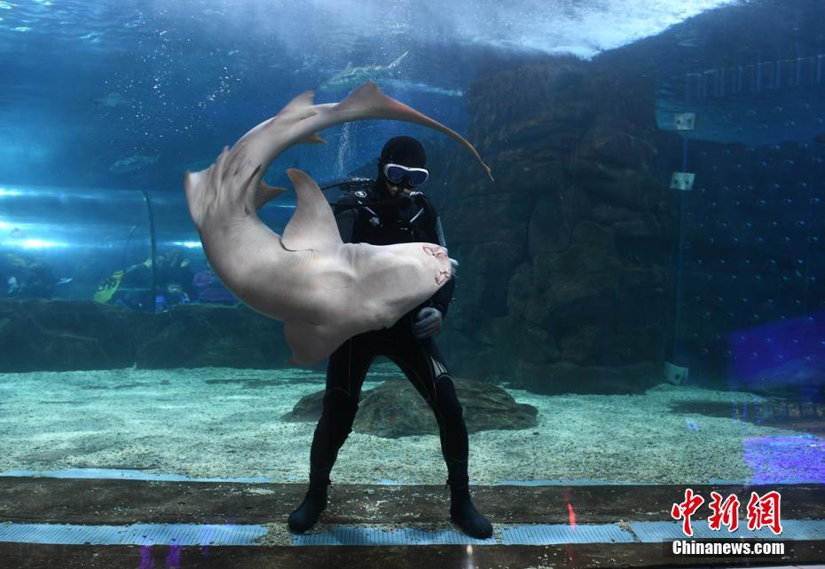 欧美老妇人