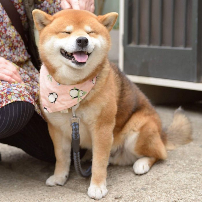 粗暴性爱