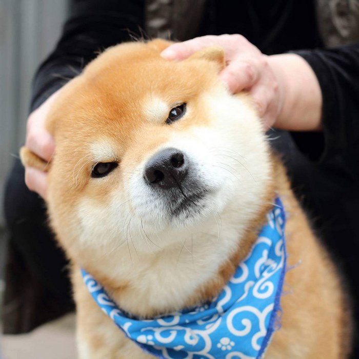 男生操女生的软件