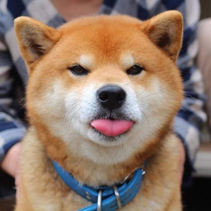 宮部涼花
