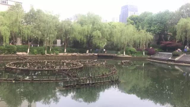 野外猛男的大粗鳮1巴