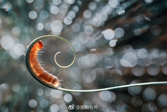 中文台湾三级挑情