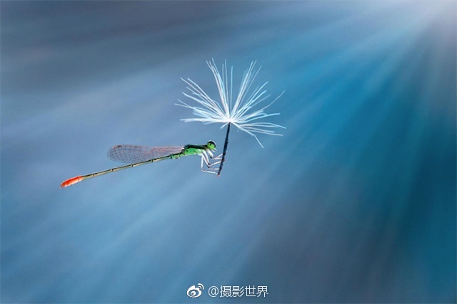 黄色视频2O12久久