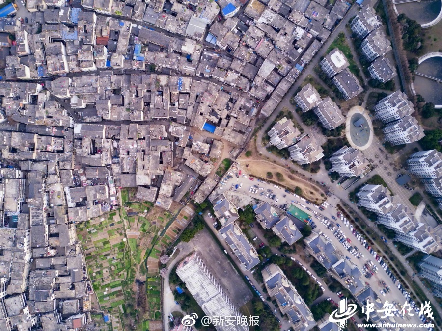 李丽丽
