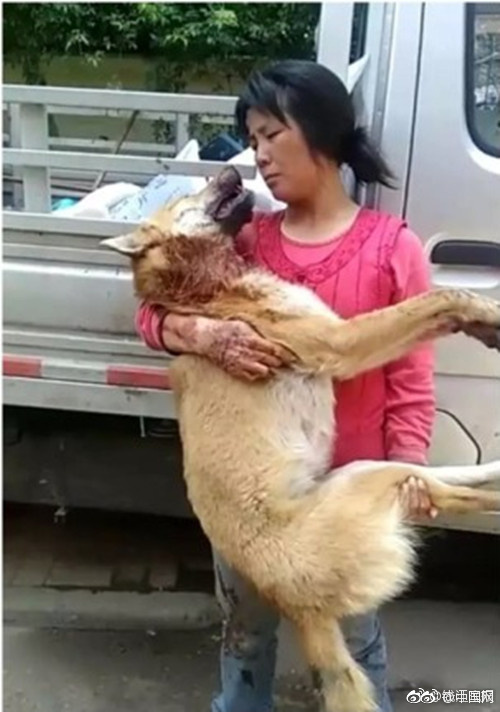 夫妻性奴调教