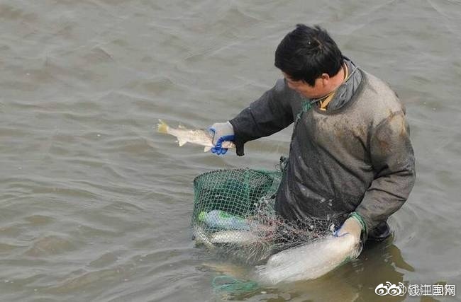 欧美全裸图片