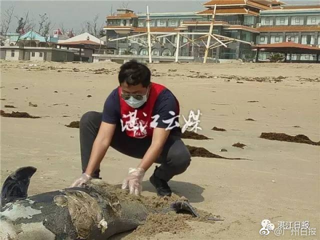中国电视剧