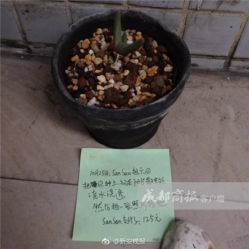 下载 成人 影片