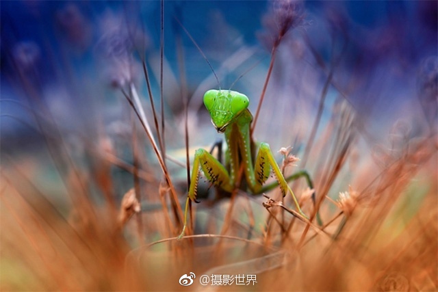 车模走光