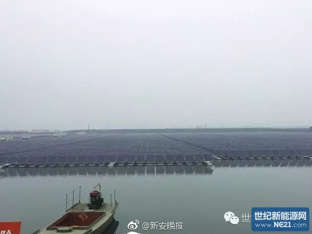 处女视频电影黄色