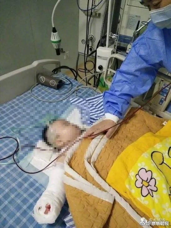 国产黄色网站 免费看