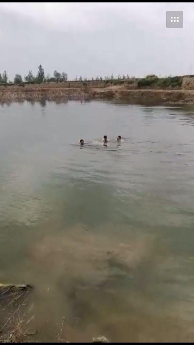 中文字暮乱妇无码Av在线