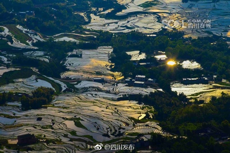 挤公交忘穿内裤被挺进