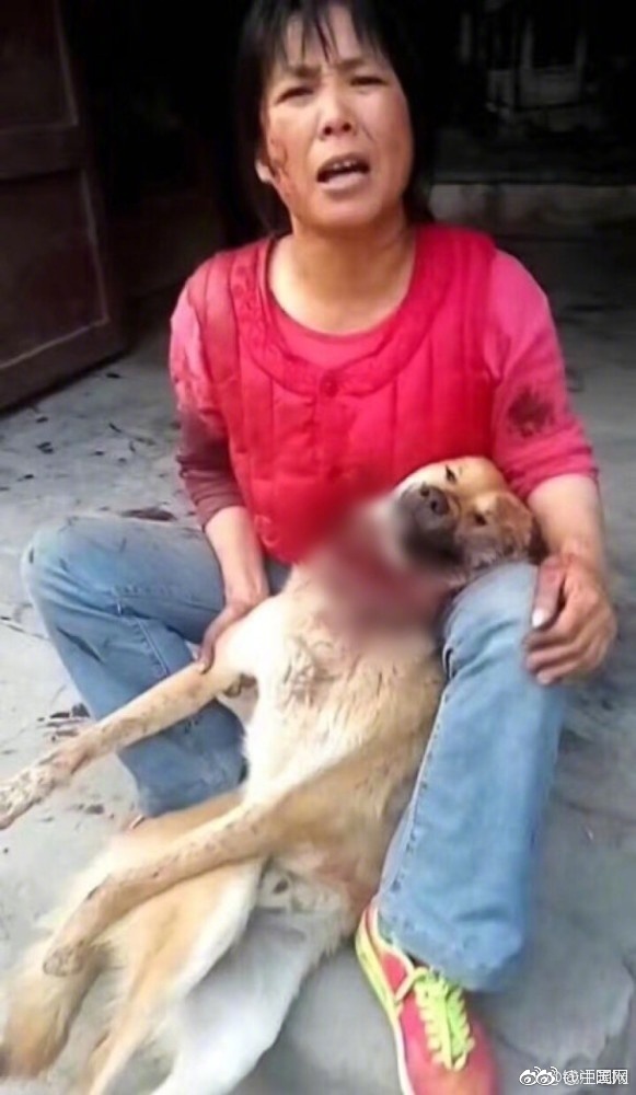 美女人妻被黑人干