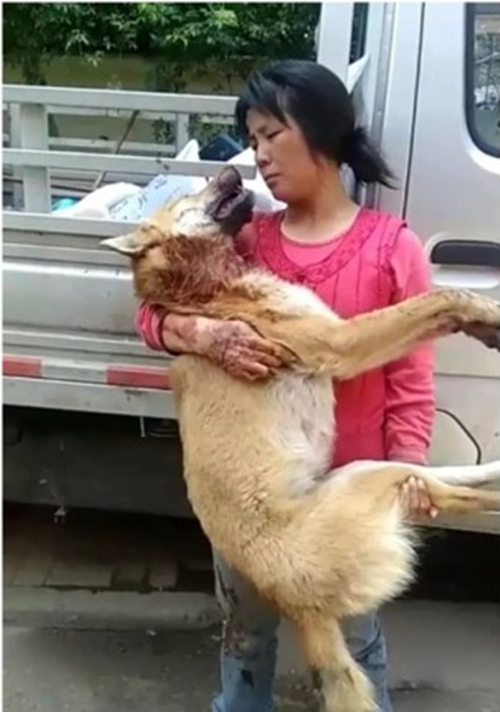 李丽珍无码性爱在线观看