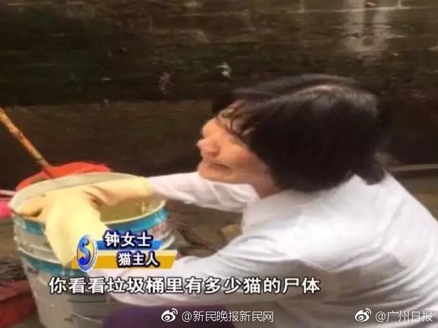 欧美图片韩日三级黄片免费看