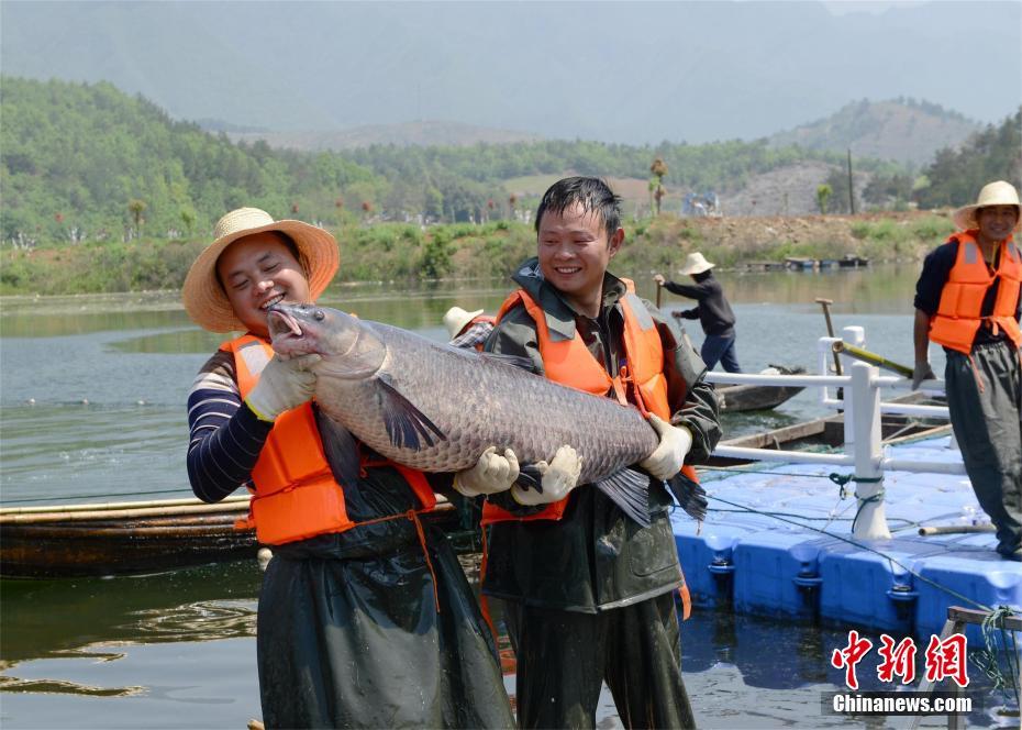 国产又大又粗又爽的毛片
