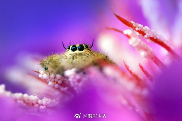 操老逼