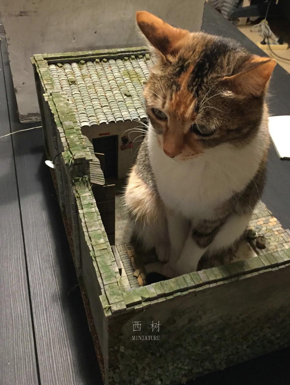 试看婬片15分钟