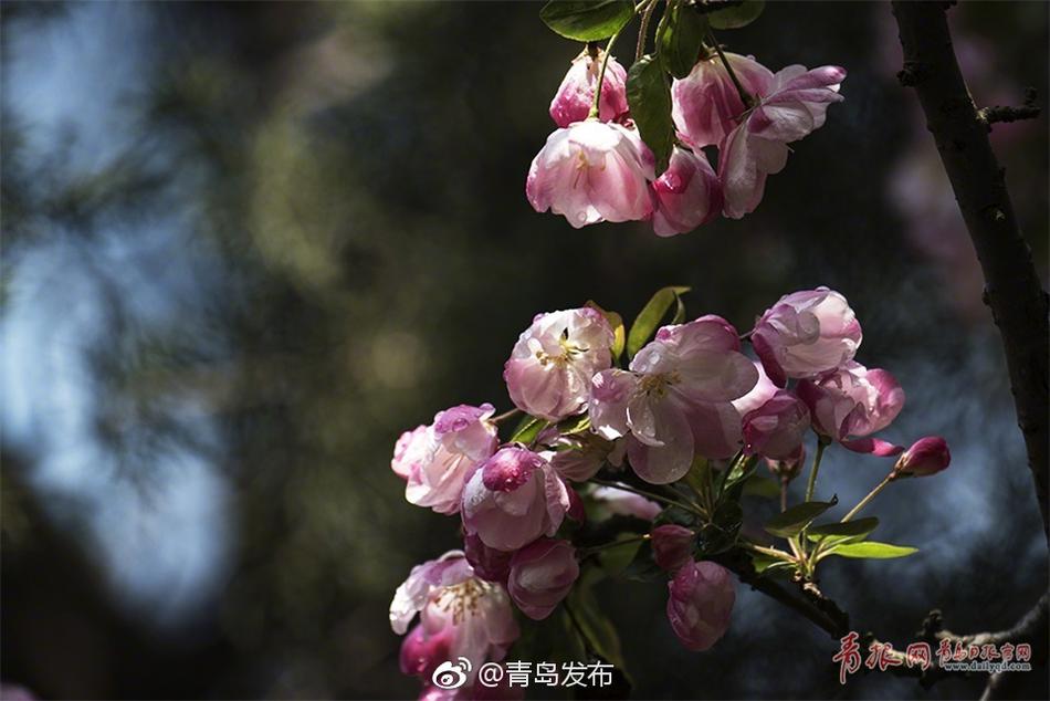 黄油手游大全下载